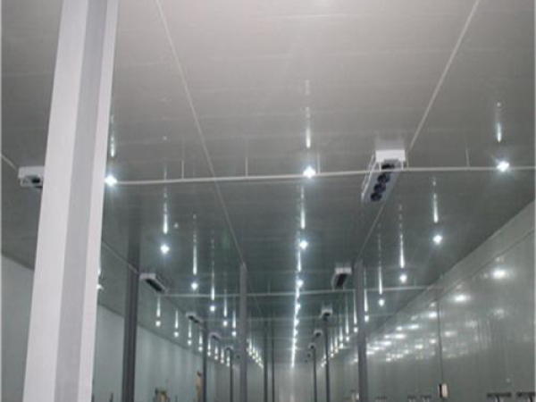 建造安裝食品低溫冷藏庫有哪些因素影響造價(jià)？